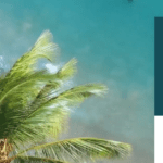 AAEI annual conference graphic